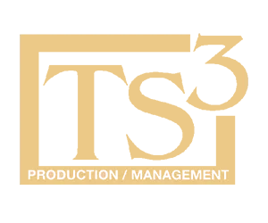 Logo TS3